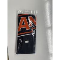 Anderson Raptors 2 sided flag